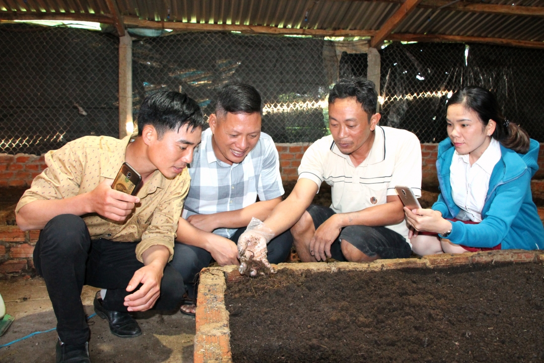 Ông Nguyễn Văn Vân (thứ hai từ phải sang) ở thôn Suối Cát (xã Xuân Phú) chia sẻ quy trình nuôi trùn quế. 