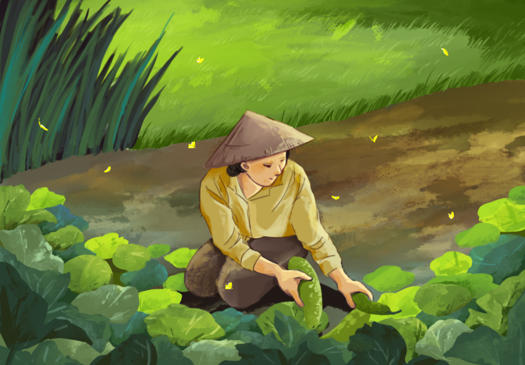 Minh họa:  Trà My