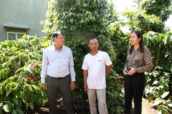 Gia đình anh Y Như Ayun (giữa) ở buôn Ea Su (xã Ea Phê, huyện Krông Pắc) được hỗ trợ xây nhà 167, vay vốn  phát triển chăn nuôi, trồng trọt đã vươn lên thoát nghèo.  