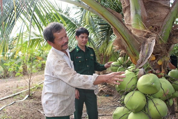 Ông Hồ Văn Điều cùng cán bộ biên phòng thăm vườn dừa. 