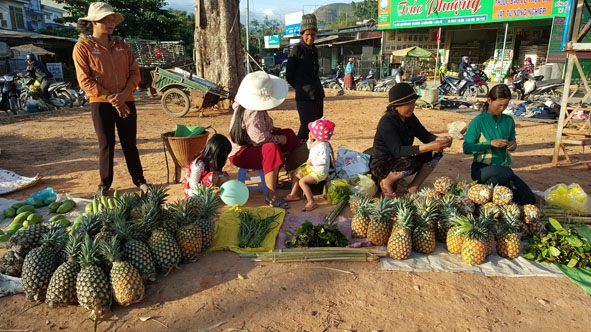 Do trồng ít không có mối thương lái vào mua sỉ nên một số hộ trồng dứa phải đem ra chợ bán lẻ.