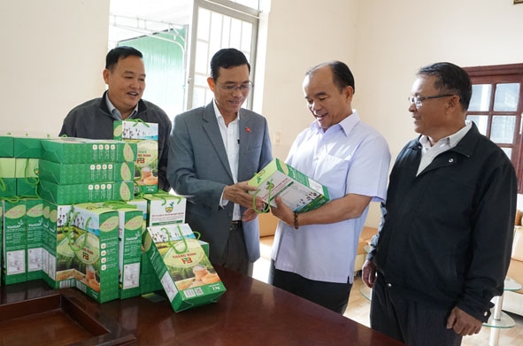 Giám đốc Hợp tác xã Dịch vụ tổng hợp nông nghiệp Thăng Bình Võ Văn Sơn (thứ hai từ phải sang) giới thiệu sản phẩm gạo sạch của hợp tác xã.