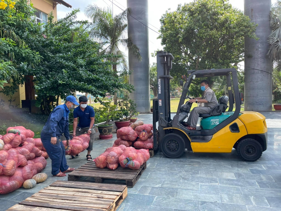 Đoàn viên thanh niên hỗ trợ vận chuyển 