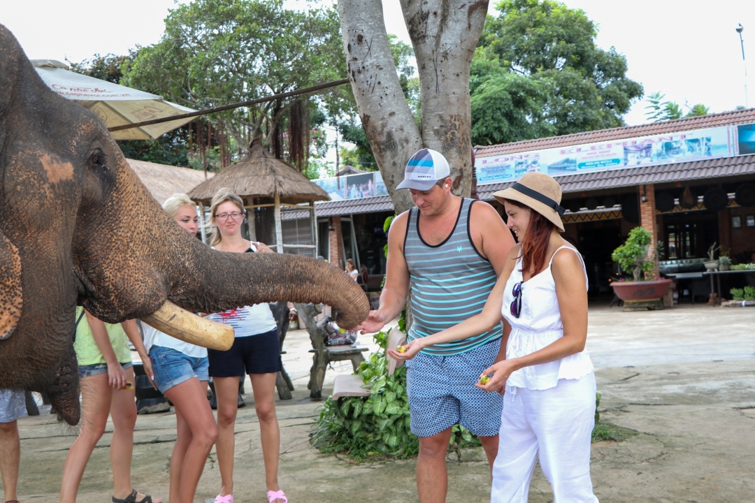 Du khách trải nghiệm chăm sóc voi ở huyện Lắk.