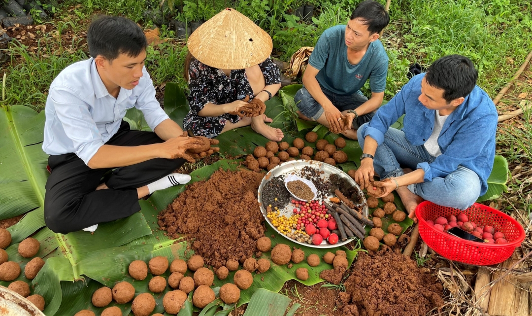 Các tình nguyện viên làm 