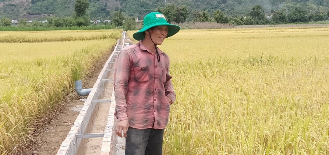 Cánh đồng lúa nước rộng 4 ha với hệ thống mương tưới tự làm của gia đình ông Đỗ Nam.