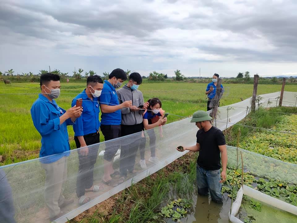 Các đoàn viên, thanh niên tham quan mô hình nuôi ốc nhồi thương phẩm