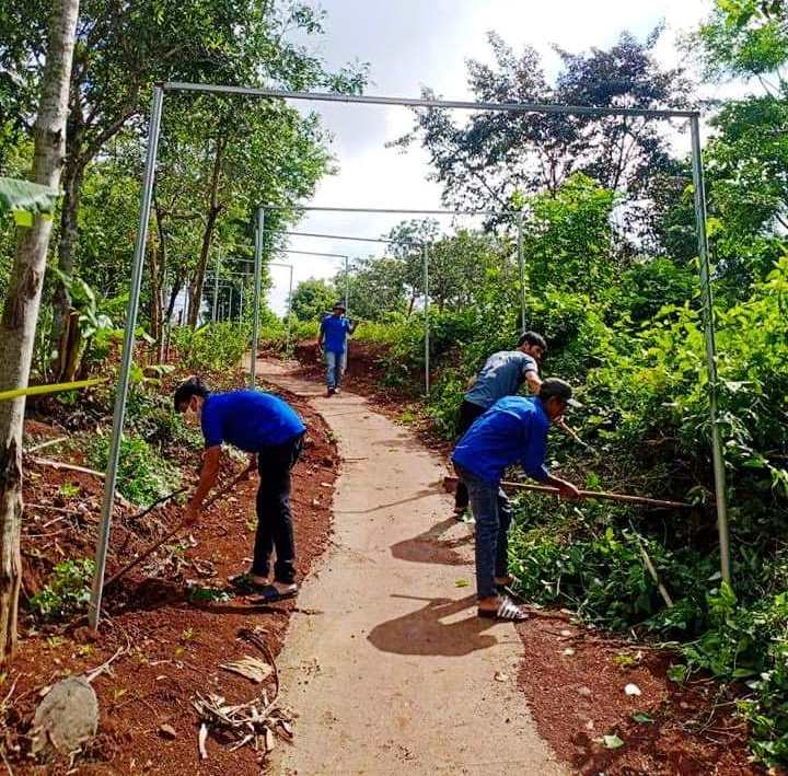 Đoàn viên, thanh niên xã Ea Tul (huyện Cư M’gar) chăm sóc 