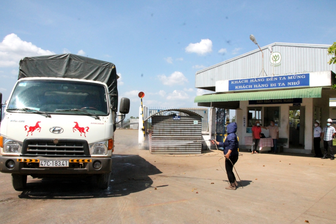 Chi nhánh Công ty Cổ phần Chăn nuôi CP Việt Nam tại Cụm Công nghiệp Ea Đar (huyện Ea Kar) thực hiện nghiêm các quy định phòng chống dịch COVID-19