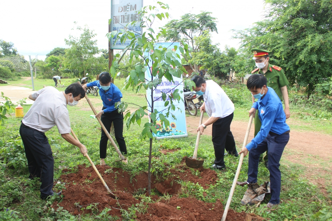 Trồng cây xanh trên các tuyến đường