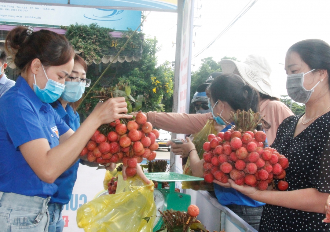 Người dân ủng hộ mua vải thiều Bắc Giang tại các điểm kết nối tiêu thụ trên địa bàn TP. Buôn Ma Thuột. 