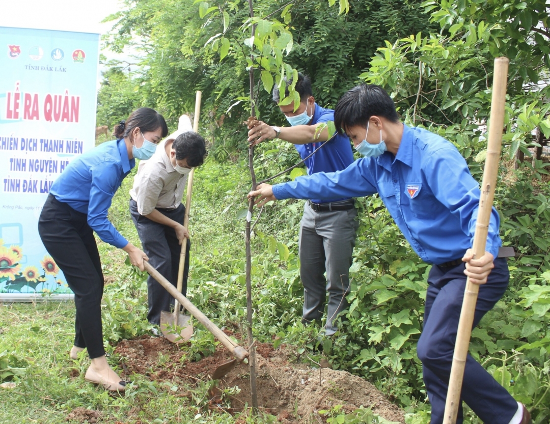 Đoàn viên thanh niên tham gia trồng cây xanh tại Lễ ra quân Chiến dịch Thanh niên tình nguyện hè năm 2021.