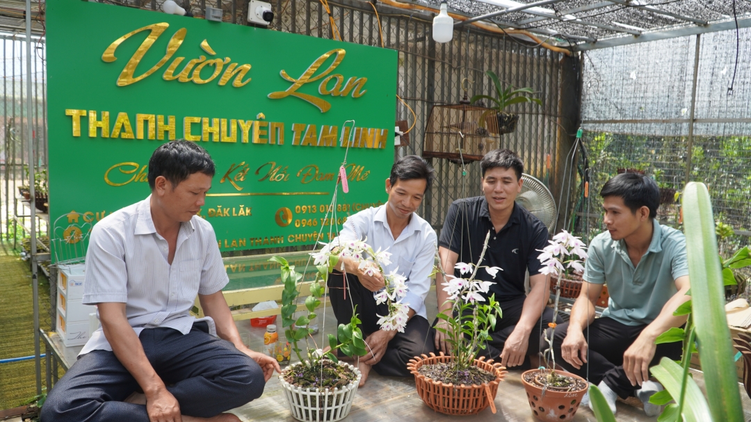 Vườn lan của anh Nguyễn Thanh Chuyên có nhiều người đến thưởng lãm. 