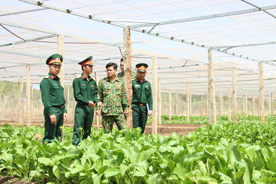 Khu tăng gia sản xuất và hệ thống nhà lưới do cán bộ, chiến sĩ Tiểu đoàn thực hiện.  