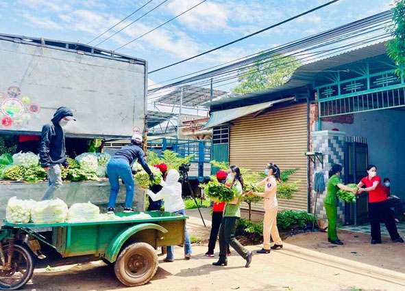 Những bó rau tươi ngon đã được vận chuyển lên xe trước giờ xuất phát.