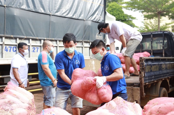 Tình nguyện viên vận chuyển rau củ về điểm tập kết của Ủy ban MTTQ Việt Nam tỉnh để ủng hộ người dân TP. Hồ Chí Minh.