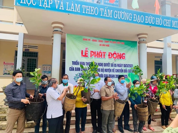  Từ nguồn xã hội hóa,  nhiều người dân  vùng khó khăn  của huyện Lắk  được hỗ trợ cây mít Thái  siêu sớm.  