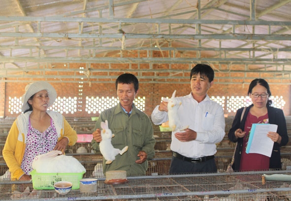 Cán bộ Hội Nông dân tỉnh, huyện Ea Kar tham quan mô hình kinh tế của hội viên nông dân xã Ea Sar.  