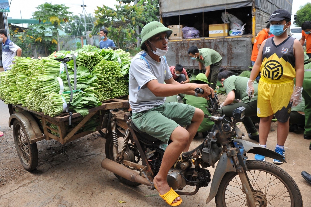 Người dân TP. Buôn Ma Thuột chở rau xanh đến điểm tập kết hàng hóa hỗ trợ vùng dịch