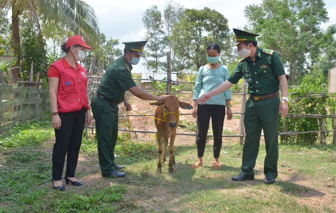 Đại diện Bộ Chỉ huy BĐBP tỉnh và Hội Chữ thập đỏ tỉnh trao tặng bò giống cho hộ nghèo.